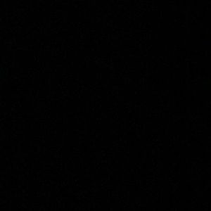 Meet your Posher, Lexie